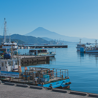 富士山が見える港の写真